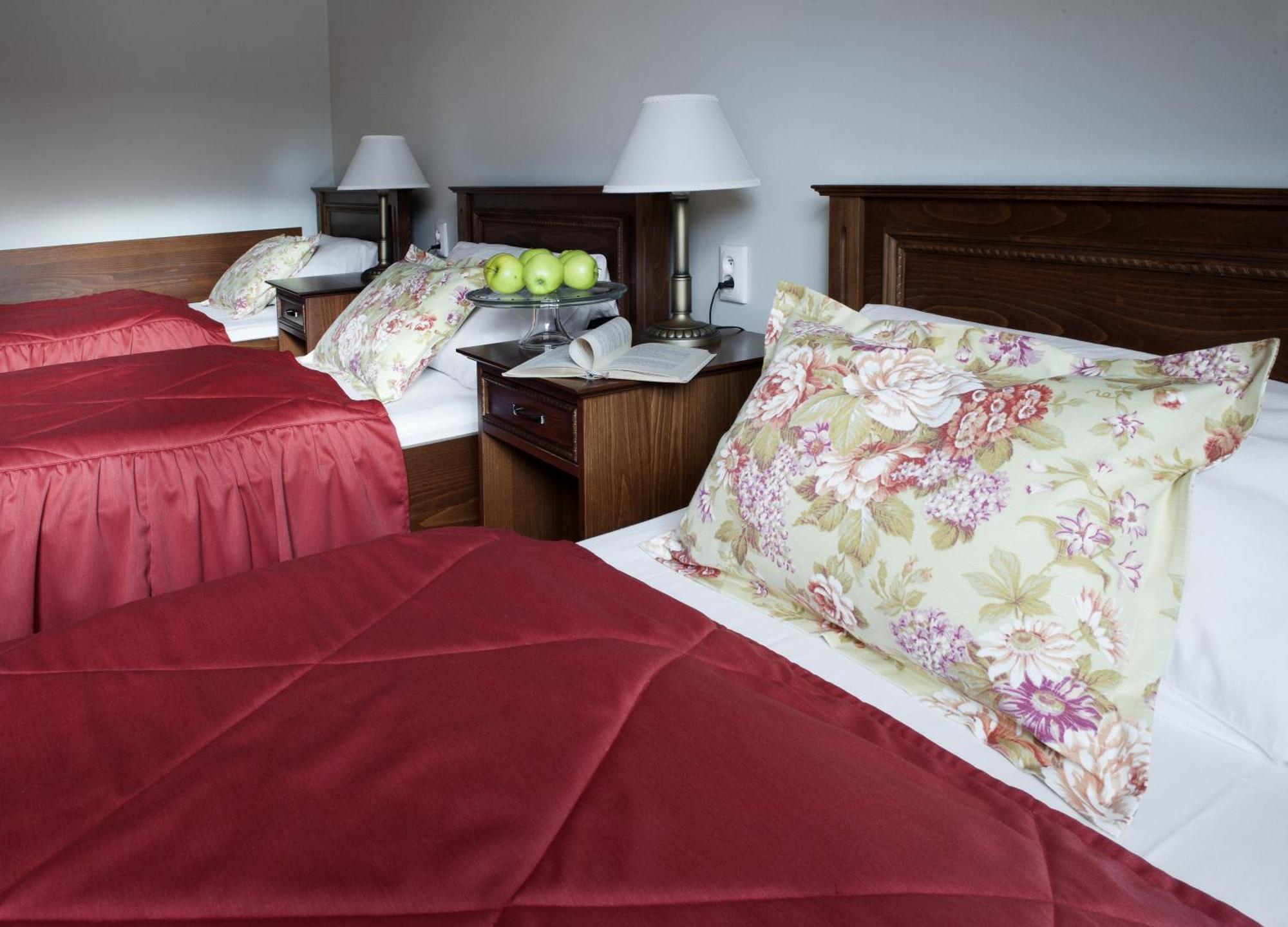 Hotel Pod Zamkem Велке-Мезиржичи Номер фото